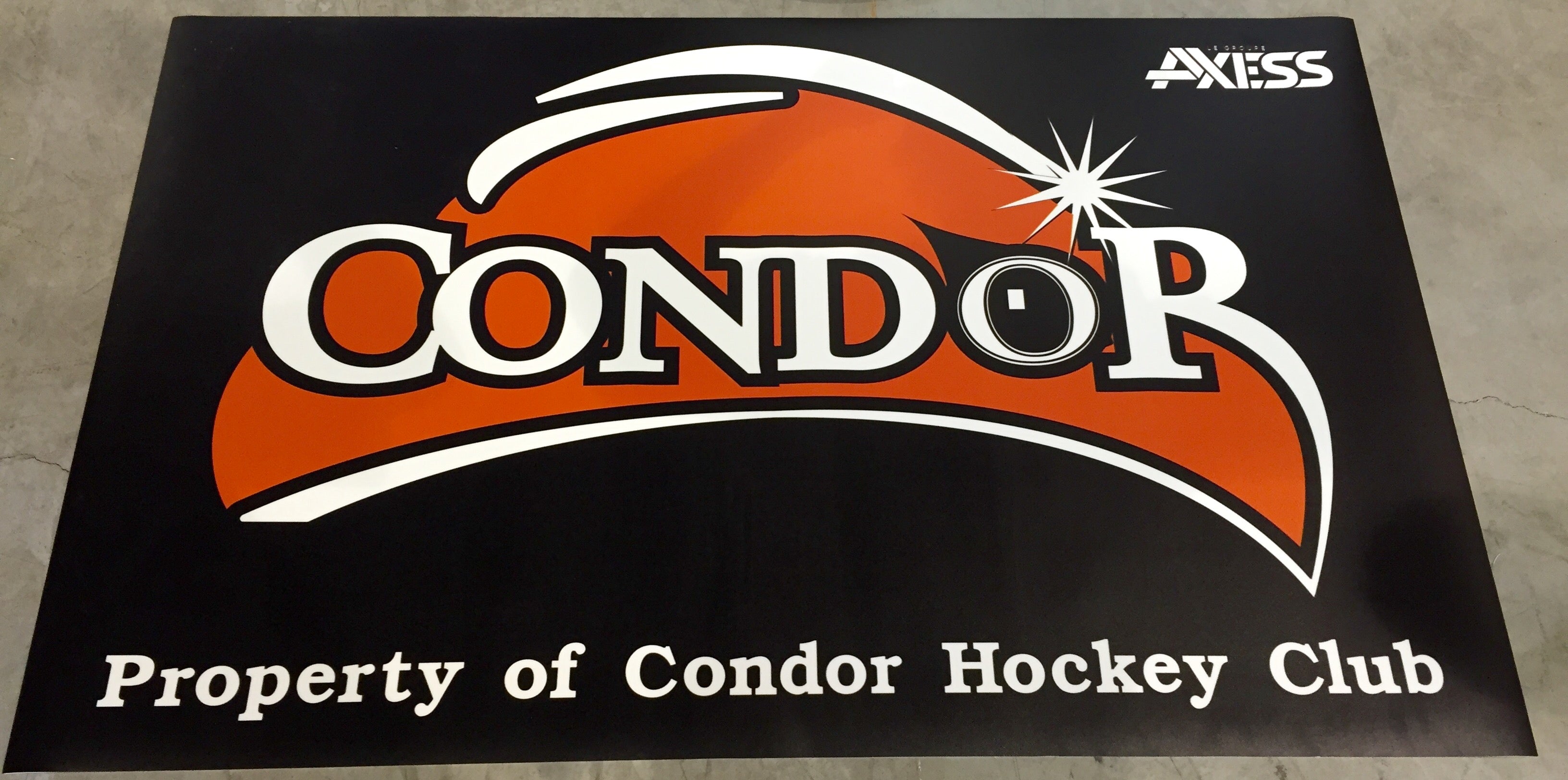 Major and minor hockey player and team mat 18''x24'' (or custom)