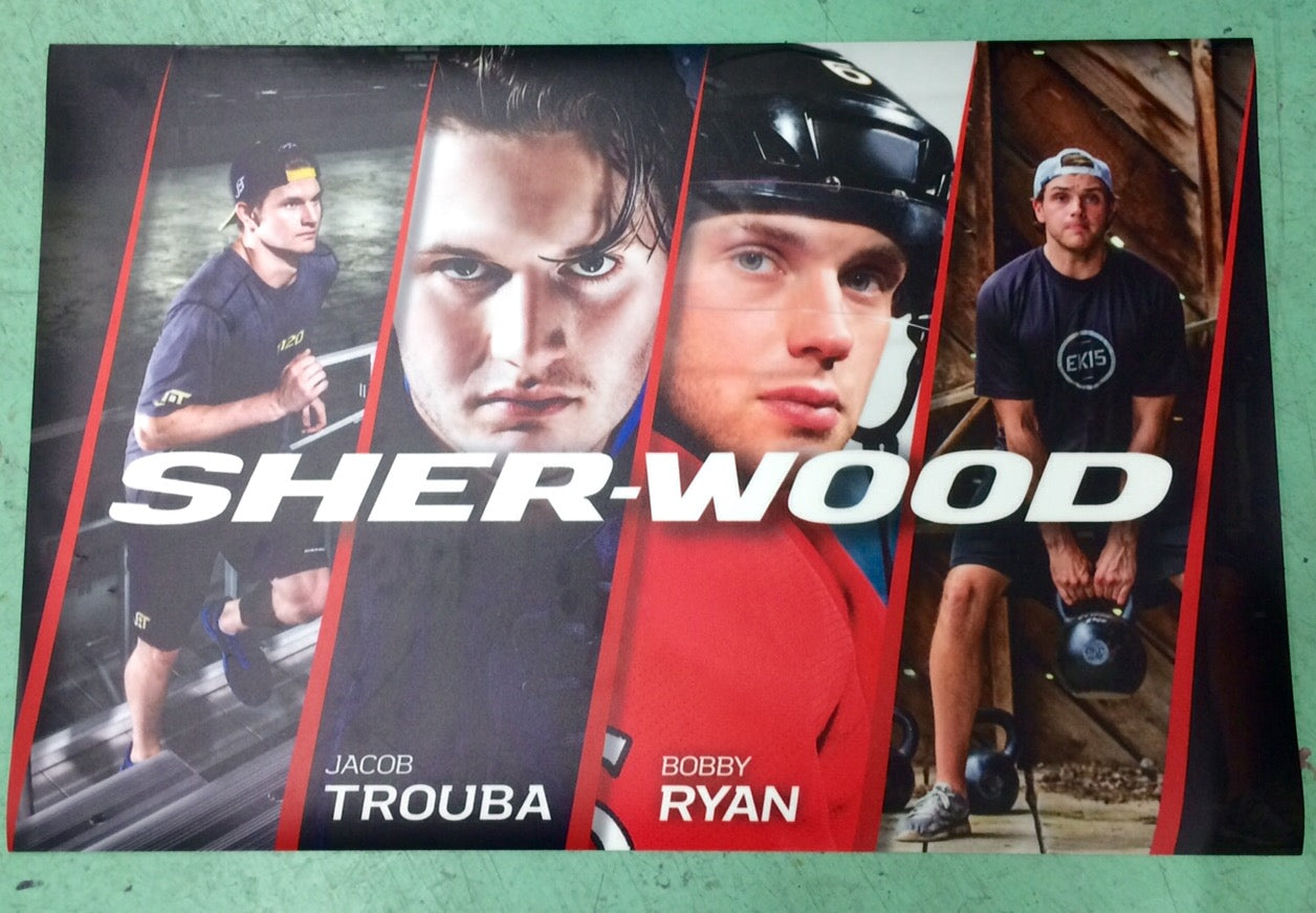 Major and minor hockey player and team mat 18''x24'' (or custom)